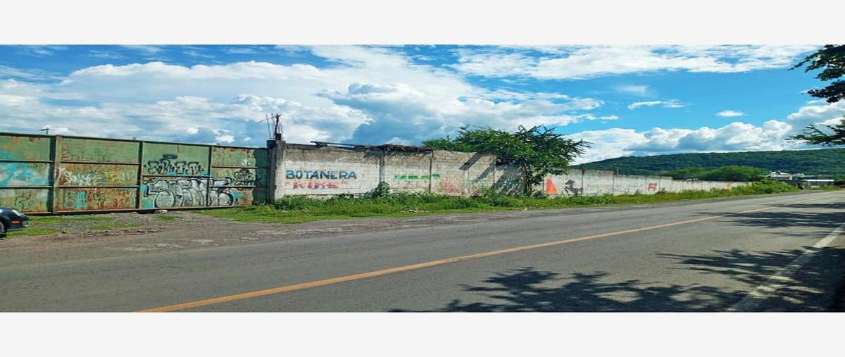 Foto de terreno habitacional en venta en carretera , tepalcingo, tepalcingo, morelos, 16136486 No. 02