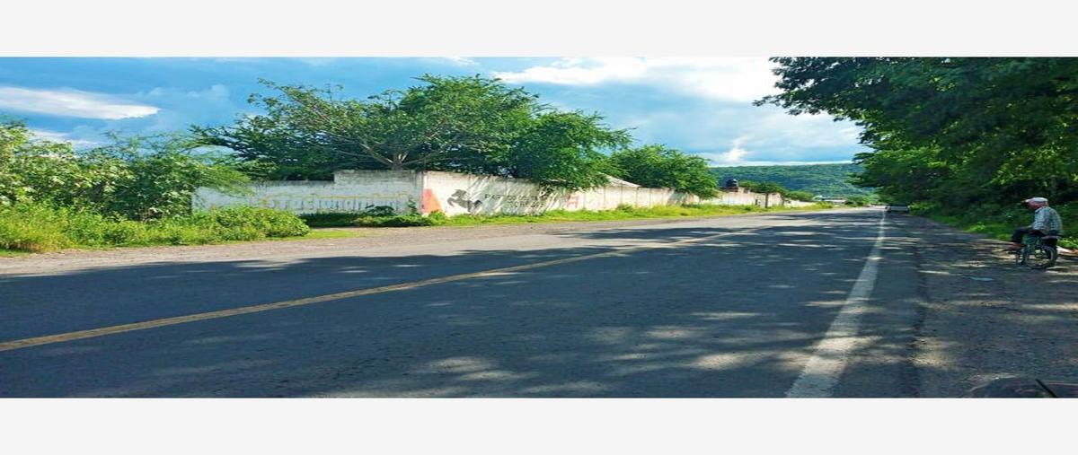 Foto de terreno habitacional en venta en carretera , tepalcingo, tepalcingo, morelos, 16136486 No. 03