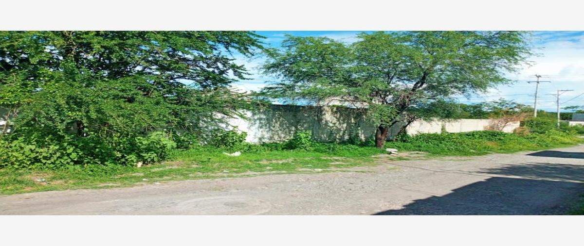 Foto de terreno habitacional en venta en carretera , tepalcingo, tepalcingo, morelos, 16136486 No. 04