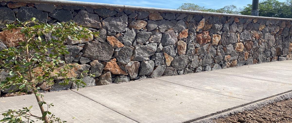 Foto de terreno habitacional en venta en carretera tepatitlan- yahualica de gonzalez galló 476 47600 , los adobes, tepatitlán de morelos, jalisco, 29496628 No. 05