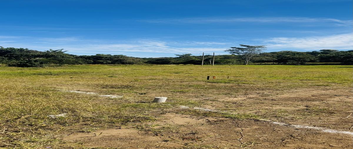 Foto de terreno habitacional en venta en carretera tepic-pto. vallarta, lote , san francisco, bahía de banderas, nayarit, 30715111 No. 05