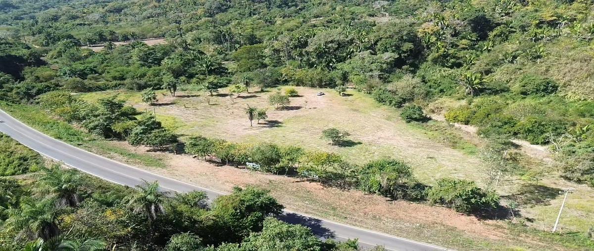 Foto de terreno habitacional en carretera tepic-pto. vallarta, terreno , sayulita, bahía de banderas, nayarit, 29746889 foto 04 Foto de terreno habitacional en venta en carretera tepic-pto. vallarta, terreno , sayulita, bahía de banderas, nayarit, 29746889 No. 04