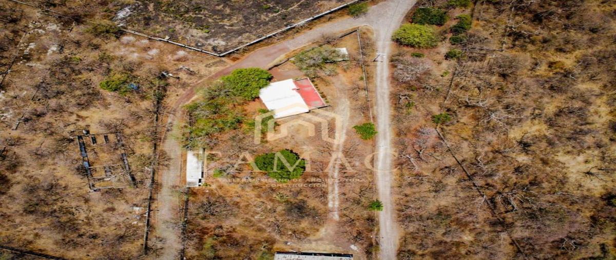 Foto de terreno habitacional en venta en carretera tepoxtlan - yautepec 10 kilometro 3, tepoztlán centro, tepoztlán, morelos, 0 No. 03