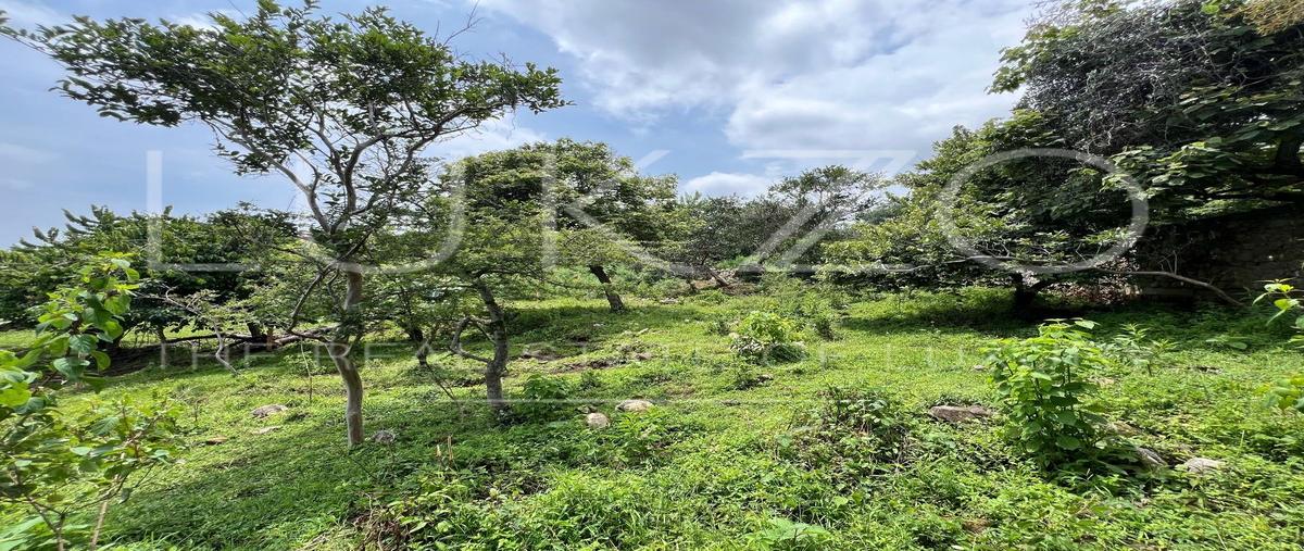 Foto de terreno habitacional en venta en carretera tepoztlan a amatlan , amatlán de quetzalcoatl, tepoztlán, morelos, 0 No. 01