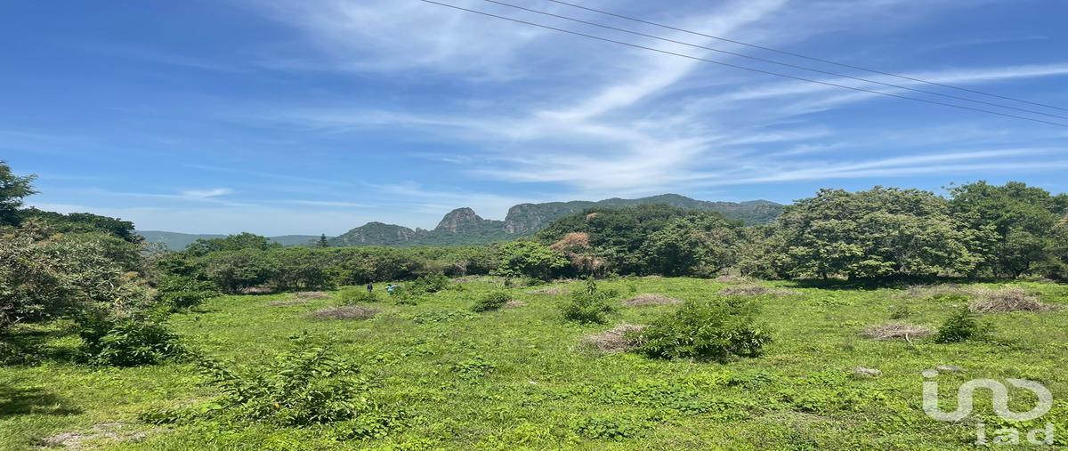 Foto de terreno habitacional en venta en carretera tepoztlán - amatlán de quetzalcóatl , tecmilco, tepoztlán, morelos, 31742564 No. 04
