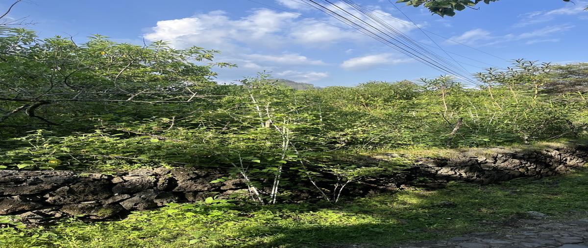 Foto de terreno habitacional en carretera tepoztlan ocotitlan , santo domingo ocotitlán, tepoztlán, morelos, 26633394 foto 01 Foto de terreno habitacional en venta en carretera tepoztlan ocotitlan , santo domingo ocotitlán, tepoztlán, morelos, 26633394 No. 01