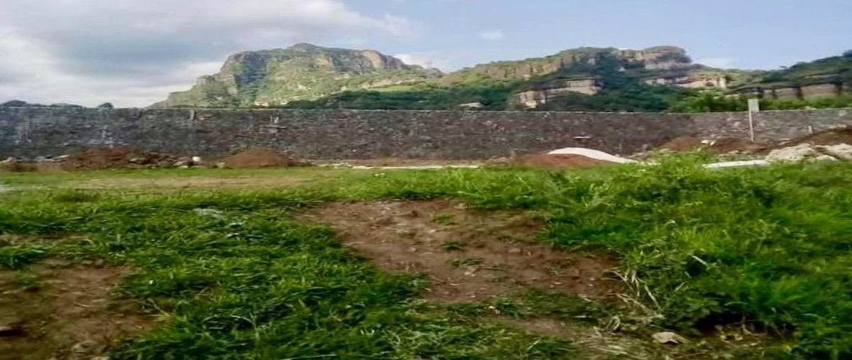 Foto de terreno habitacional en venta en carretera tepoztlan san andres de la canal , san andrés de la cal, tepoztlán, morelos, 26477542 No. 03