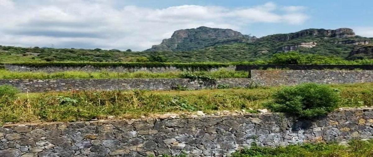 Foto de terreno habitacional en venta en carretera tepoztlan san andres de la canal , san andrés de la cal, tepoztlán, morelos, 26477542 No. 04