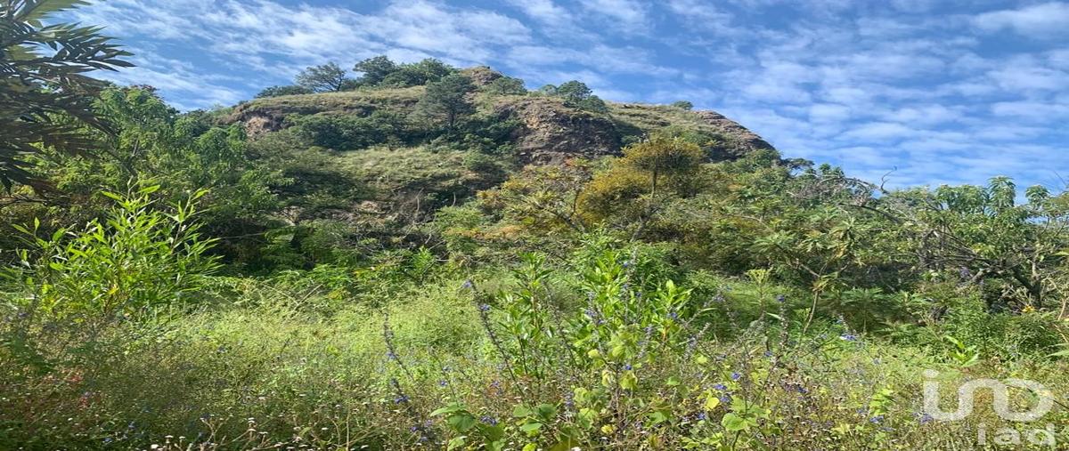 Foto de terreno habitacional en venta en carretera tepoztlán - santo domingo ocotitlán , santo domingo ocotitlán, tepoztlán, morelos, 28722980 No. 04