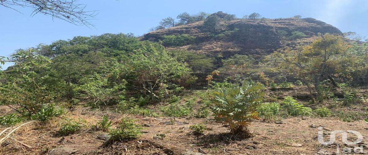 Foto de terreno habitacional en venta en carretera tepoztlán - santo domingo ocotitlán , santo domingo ocotitlán, tepoztlán, morelos, 28722980 No. 05