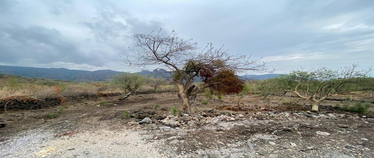 Foto de terreno habitacional en venta en carretera tepoztlan - santo domingo ocotitlan sn , santo domingo ocotitlán, tepoztlán, morelos, 0 No. 03