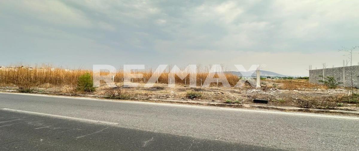 Foto de terreno habitacional en venta en carretera tequesquitengo-jojutla , tequesquitengo, jojutla, morelos, 0 No. 04