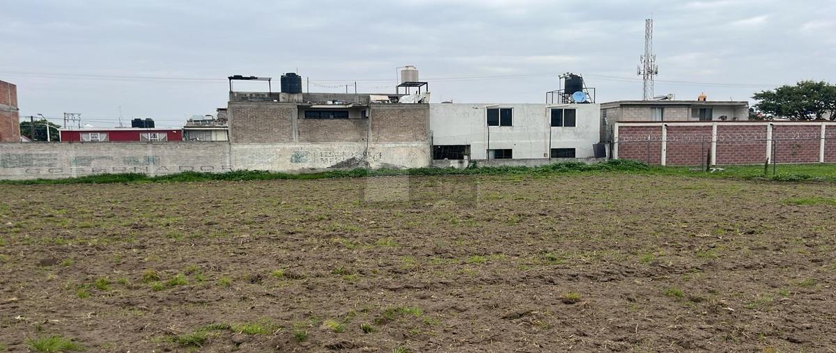 Foto de terreno habitacional en venta en carretera tequexquinahuac s/n 1, san luis huexotla, texcoco, méxico, 28380347 No. 04