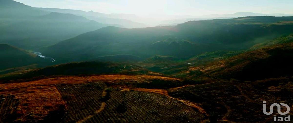 Foto de terreno habitacional en venta en carretera tequila-san martin , san martin de las cañas, tequila, jalisco, 0 No. 05