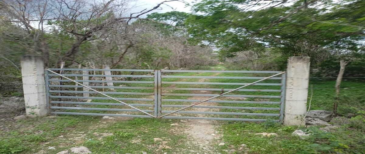 Foto de terreno habitacional en venta en carretera tetiz - celestun , tetiz, tetiz, yucatán, 0 No. 05