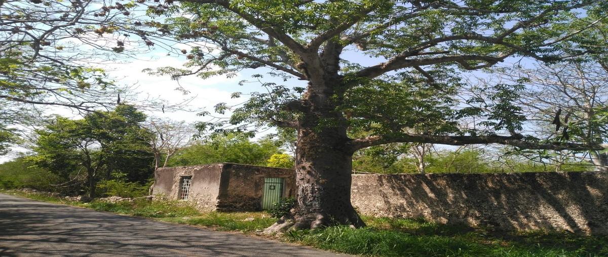 Foto de rancho en venta en carretera tixkokob-aké , ekmul, tixkokob, yucatán, 0 No. 04