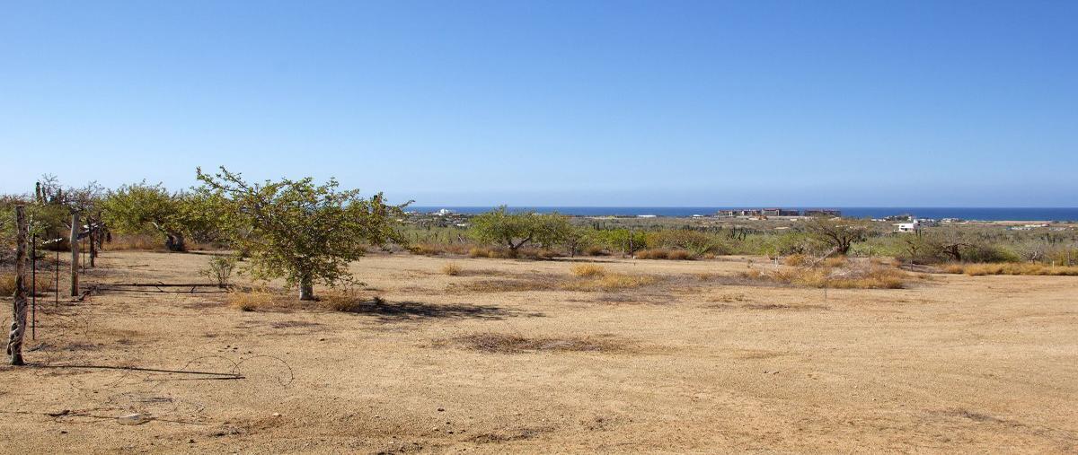 Foto de terreno habitacional en venta en carretera todos santos- cabo san lucas , los cerritos, la paz, baja california sur, 27363795 No. 03