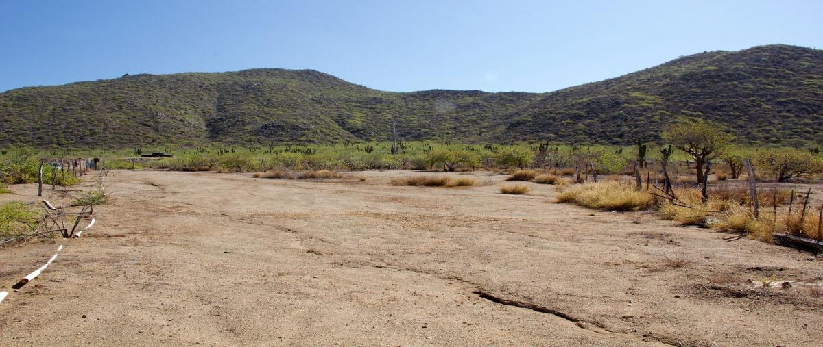Foto de terreno habitacional en venta en carretera todos santos- cabo san lucas , los cerritos, la paz, baja california sur, 27363795 No. 05