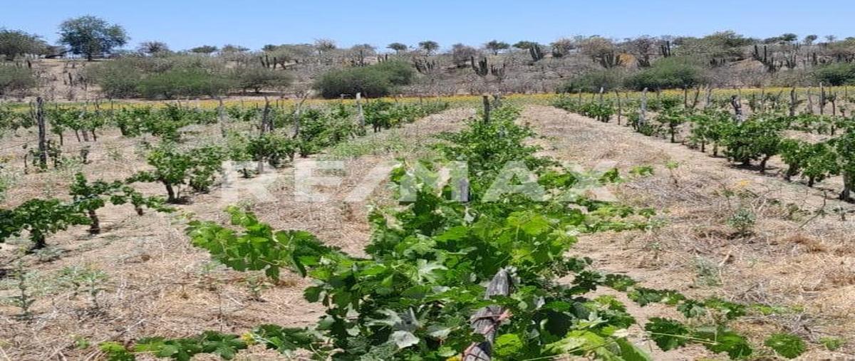 Foto de rancho en carretera todos santos la paz , cabo san lucas centro, los cabos, baja california sur, 0 foto 02 Foto de rancho en venta en carretera todos santos la paz , cabo san lucas centro, los cabos, baja california sur, 0 No. 02