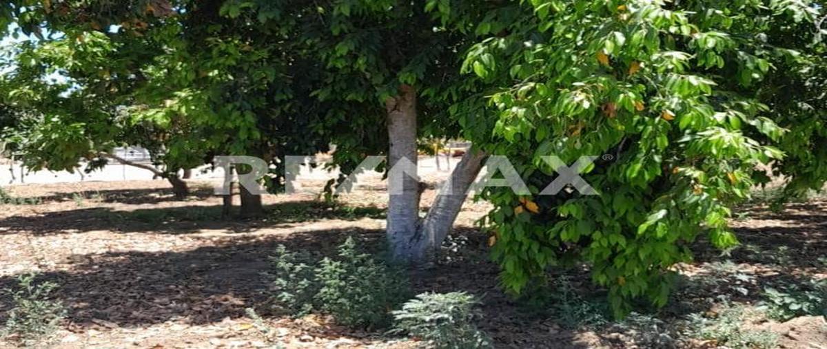 Foto de rancho en carretera todos santos la paz , cabo san lucas centro, los cabos, baja california sur, 0 foto 04 Foto de rancho en venta en carretera todos santos la paz , cabo san lucas centro, los cabos, baja california sur, 0 No. 04