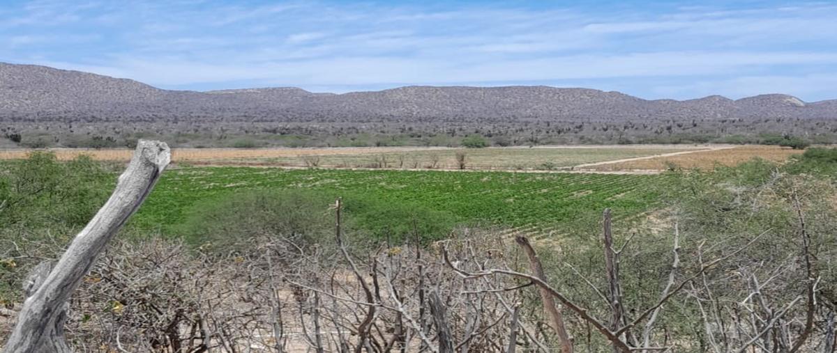 Foto de rancho en venta en carretera todos santos la paz , cabo san lucas centro, los cabos, baja california sur, 27894934 No. 05