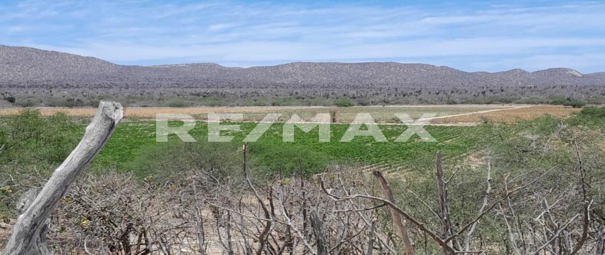 Foto de rancho en carretera todos santos la paz , cabo san lucas centro, los cabos, baja california sur, 0 foto 05 Foto de rancho en venta en carretera todos santos la paz , cabo san lucas centro, los cabos, baja california sur, 0 No. 05