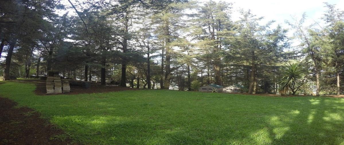 Foto de terreno habitacional en venta en carretera toluca méxico , centro ocoyoacac, ocoyoacac, méxico, 10673057 No. 02