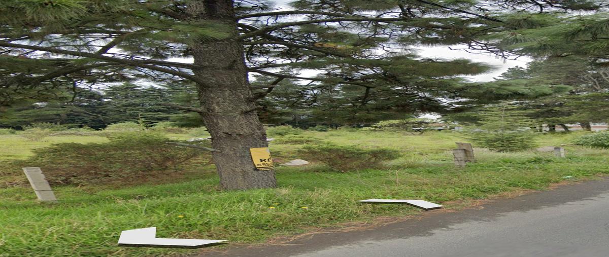 Foto de terreno habitacional en carretera toluca-mexico , ejido la campana, ocoyoacac, méxico, 0 foto 05 Foto de terreno habitacional en renta en carretera toluca-mexico , ejido la campana, ocoyoacac, méxico, 0 No. 05