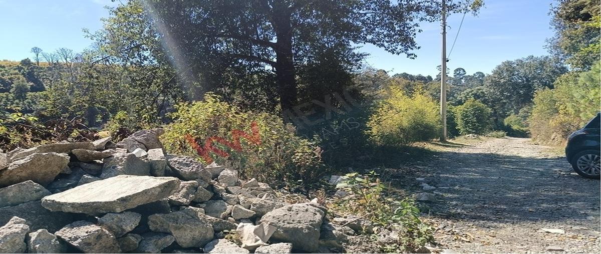 Foto de terreno habitacional en venta en carretera toluca-temascaltepec , cieneguillas de gonzález (cieneguillas), temascaltepec, méxico, 0 No. 03