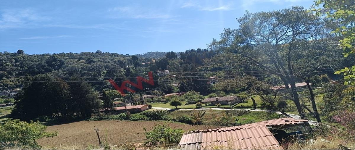 Foto de terreno habitacional en venta en carretera toluca-temascaltepec , cieneguillas de gonzález (cieneguillas), temascaltepec, méxico, 0 No. 05