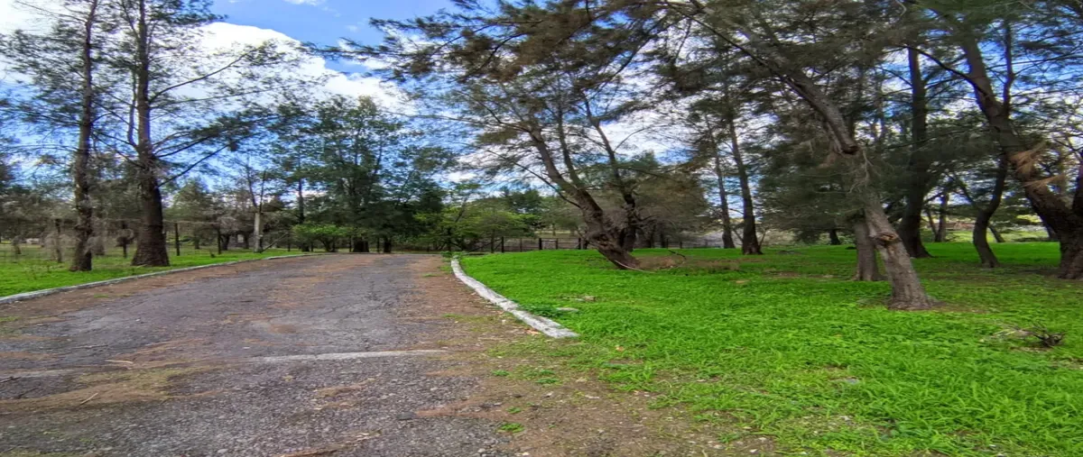 Foto de rancho en venta en carretera tonila-la esperanza 0, la esperanza, tonila, jalisco, 0 No. 05