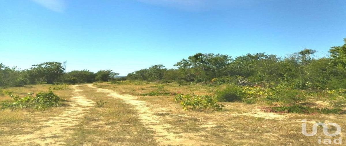Foto de terreno habitacional en venta en carretera transpeninsular 1 la paz-cabo san lucas , san pedro, la paz, baja california sur, 0 No. 05