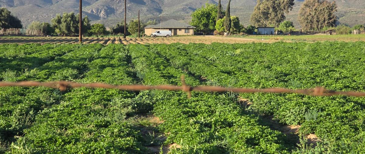 Foto de rancho en venta en carretera transpeninsular , cañón buenavista, ensenada, baja california, 29795028 No. 03