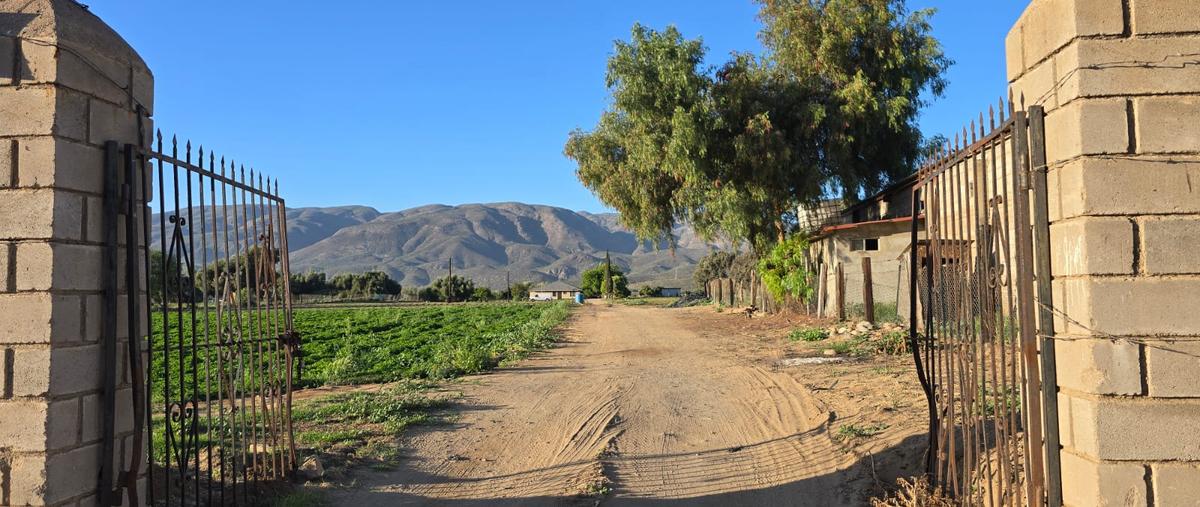 Foto de rancho en venta en carretera transpeninsular , cañón buenavista, ensenada, baja california, 29795028 No. 05
