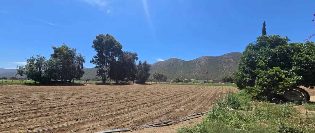 Foto de rancho en venta en carretera transpeninsular , cañón buenavista, ensenada, baja california, 29795028 No. 19
