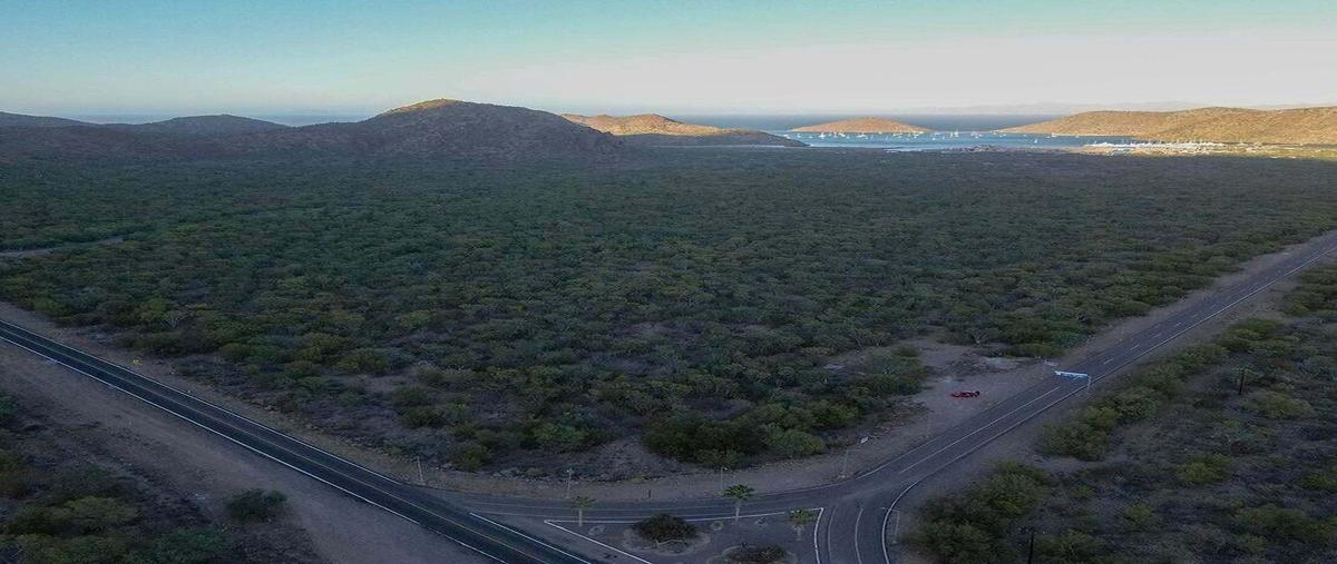 Foto de terreno habitacional en venta en carretera transpeninsular cd. constitución-loreto , obrera, loreto, baja california sur, 0 No. 01