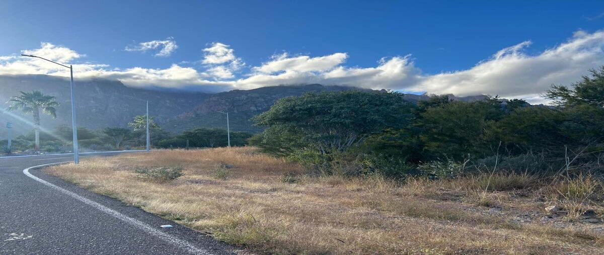 Foto de terreno habitacional en venta en carretera transpeninsular cd. constitución-loreto , obrera, loreto, baja california sur, 0 No. 02