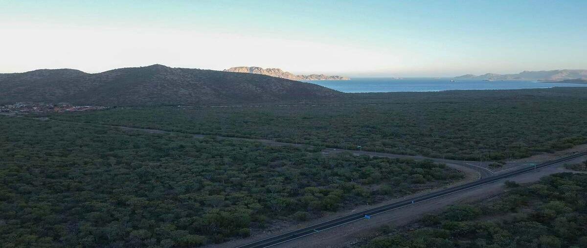 Foto de terreno habitacional en venta en carretera transpeninsular cd. constitución-loreto , obrera, loreto, baja california sur, 0 No. 04