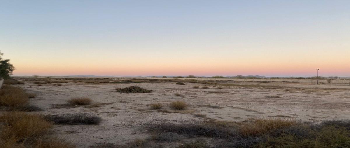 Foto de terreno habitacional en renta en carretera transpeninsular , chametla, la paz, baja california sur, 26056688 No. 03
