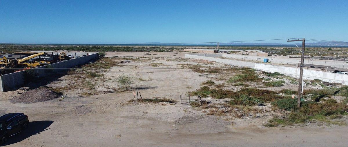 Foto de terreno habitacional en renta en carretera transpeninsular , chametla, la paz, baja california sur, 0 No. 03