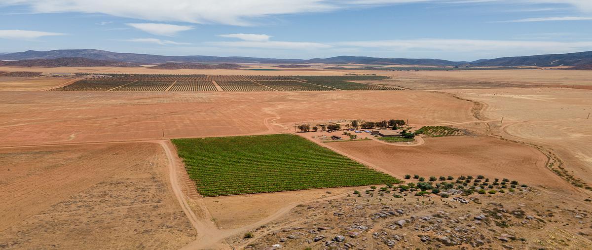 Foto de rancho en venta en carretera transpeninsular, desviación a 8 kms. del pavimento , erendira, ensenada, baja california, 0 No. 02