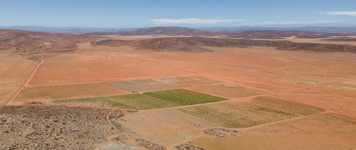 Foto de rancho en venta en carretera transpeninsular, desviación a 8 kms. del pavimento , erendira, ensenada, baja california, 0 No. 05
