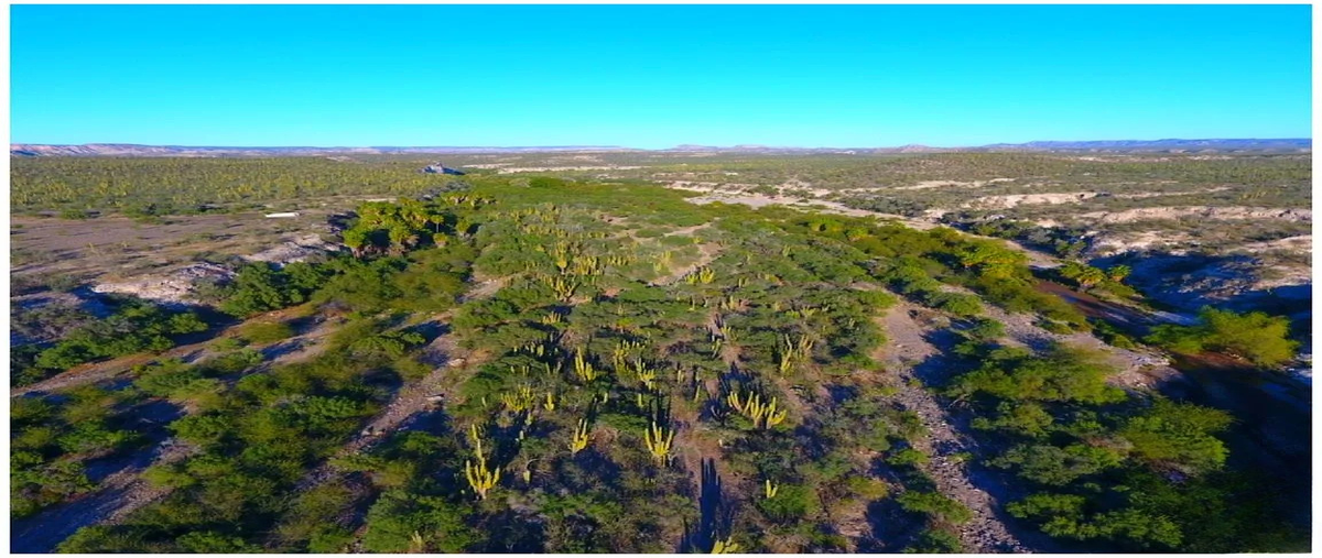 Foto de rancho en venta en carretera transpeninsular kilometro 96 la paz - ciudad constitución , ncpe conquista agraria, la paz, baja california sur, 30906454 No. 05