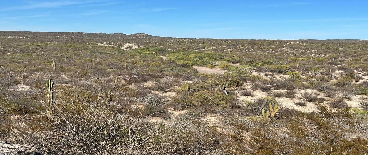 Foto de terreno habitacional en venta en carretera transpeninsular la paz- cd. constitución , el centenario, la paz, baja california sur, 31510492 No. 03