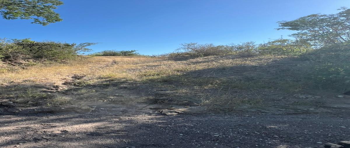 Foto de terreno habitacional en venta en carretera transpeninsular la paz- cd. constitución , el centenario, la paz, baja california sur, 31510492 No. 04