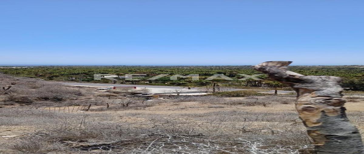 Foto de local en venta en carretera transpeninsular la paz - los cabos , san juan, la paz, baja california sur, 0 No. 03