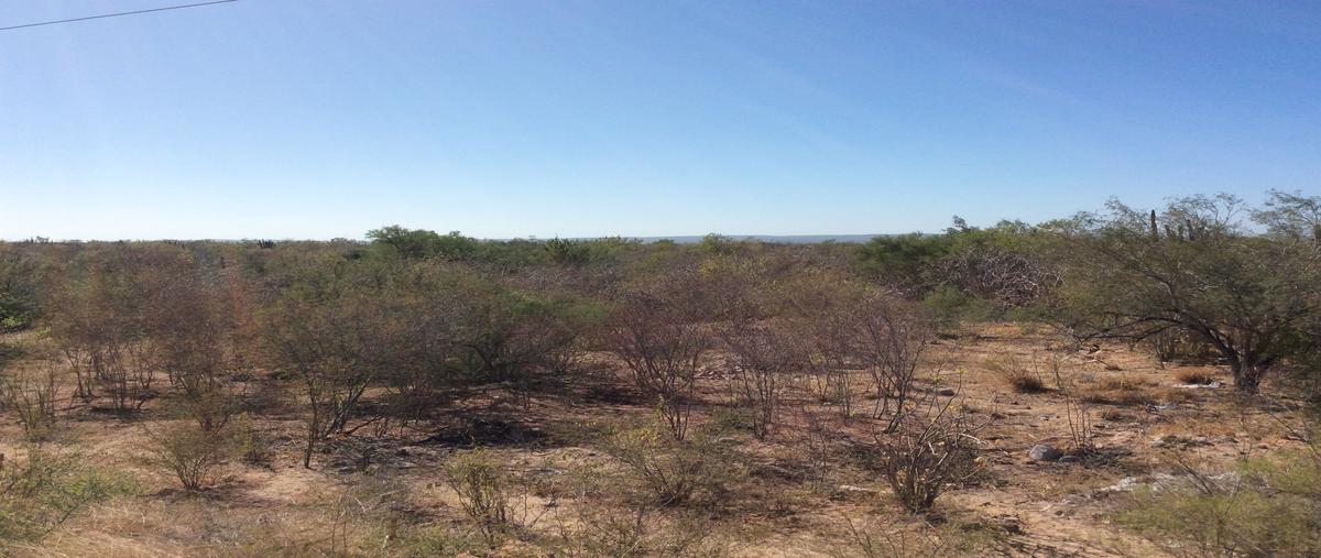 Foto de terreno comercial en carretera transpeninsular licenciado benito juárez garcía, a aproximadamente a 1.8 kilómetros al sur de san pedro y a 20 kilómetros al sur de la ciudad de l , san pedro, la paz, baja california sur, 19503165 foto 01 Foto de terreno comercial en venta en carretera transpeninsular licenciado benito juárez garcía, a aproximadamente a 1.8 kilómetros al sur de san pedro y a 20 kilómetros al sur de la ciudad de l , san pedro, la paz, baja california sur, 19503165 No. 01