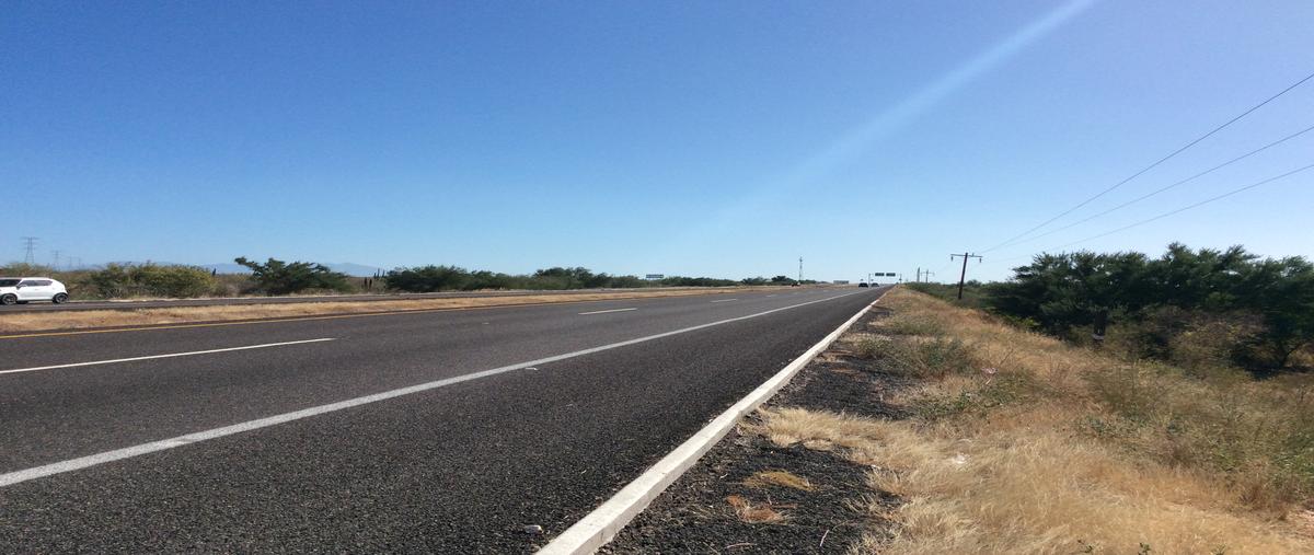 Foto de terreno comercial en carretera transpeninsular licenciado benito juárez garcía, a aproximadamente a 1.8 kilómetros al sur de san pedro y a 20 kilómetros al sur de la ciudad de l , san pedro, la paz, baja california sur, 19503165 foto 04 Foto de terreno comercial en venta en carretera transpeninsular licenciado benito juárez garcía, a aproximadamente a 1.8 kilómetros al sur de san pedro y a 20 kilómetros al sur de la ciudad de l , san pedro, la paz, baja california sur, 19503165 No. 04