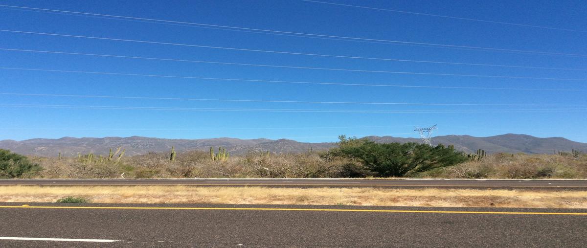 Foto de terreno comercial en carretera transpeninsular licenciado benito juárez garcía, a aproximadamente a 1.8 kilómetros al sur de san pedro y a 20 kilómetros al sur de la ciudad de l , san pedro, la paz, baja california sur, 19503165 foto 05 Foto de terreno comercial en venta en carretera transpeninsular licenciado benito juárez garcía, a aproximadamente a 1.8 kilómetros al sur de san pedro y a 20 kilómetros al sur de la ciudad de l , san pedro, la paz, baja california sur, 19503165 No. 05