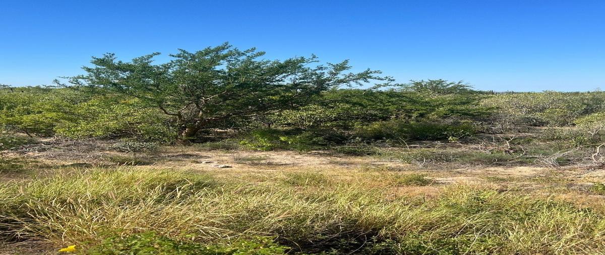 Foto de terreno habitacional en carretera transpeninsular , san pedro, la paz, baja california sur, 27393088 foto 02 Foto de terreno habitacional en venta en carretera transpeninsular , san pedro, la paz, baja california sur, 27393088 No. 02